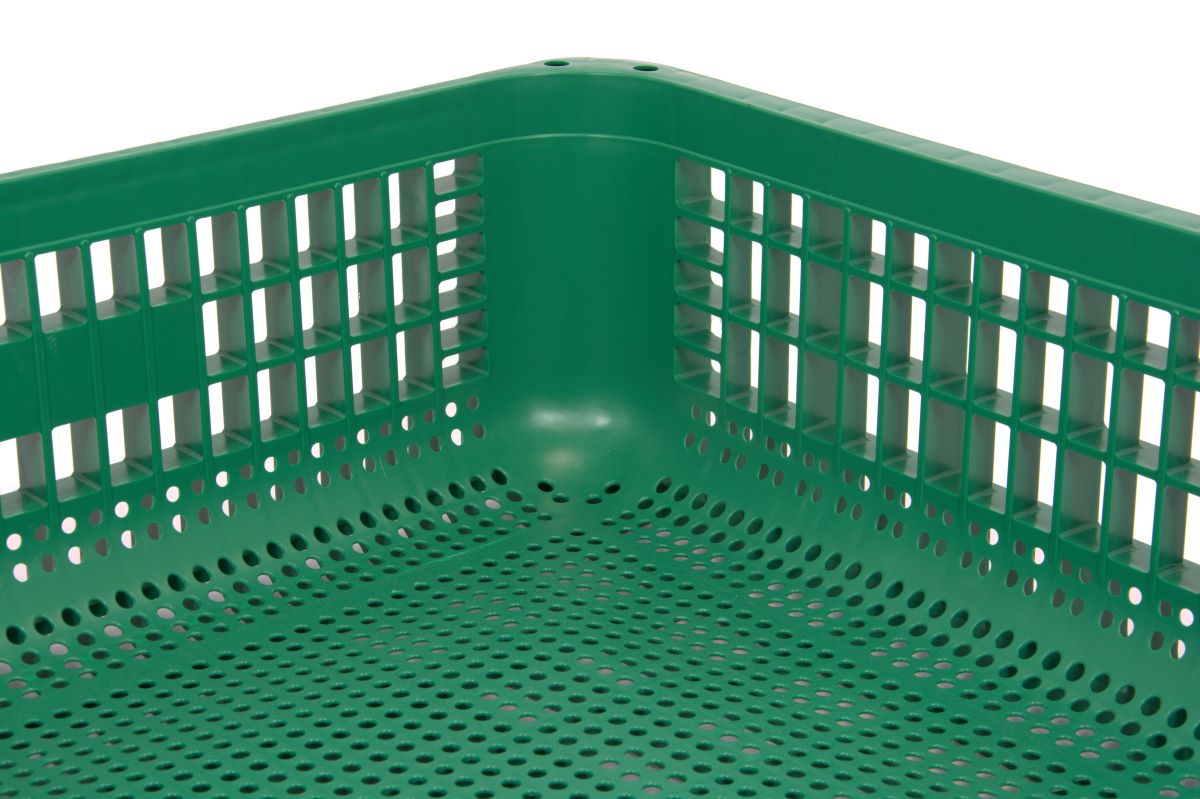 CP2551-green
