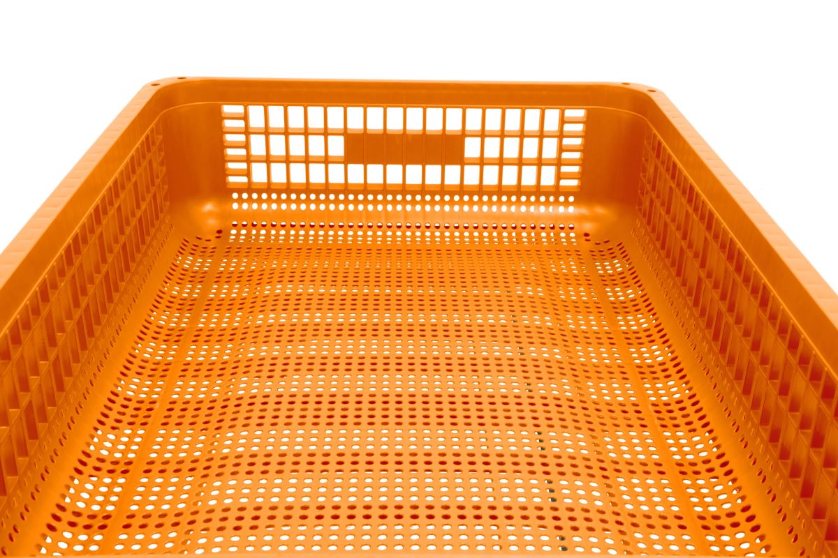 CP2552-orange