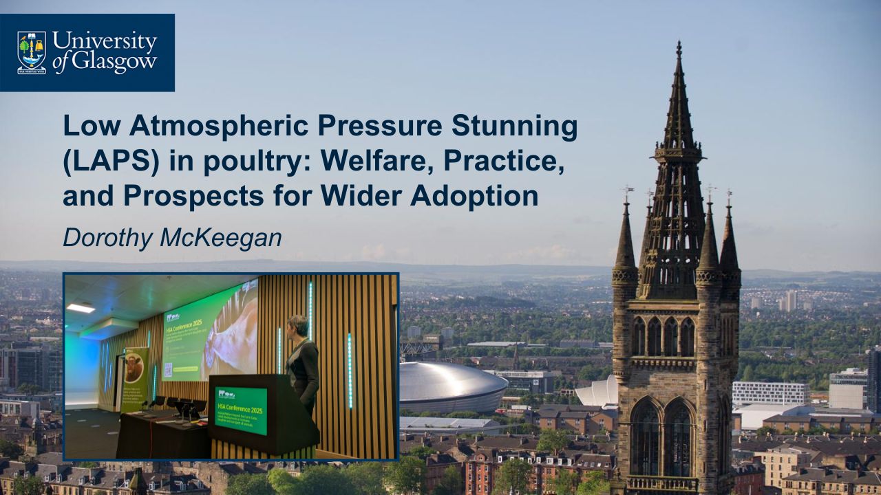 Dorothy Mckeegan from the Univeristy of Glasgow presenting LAPS at the HSA conference 2025