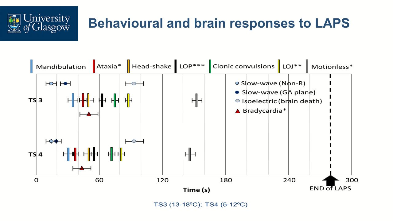 LAPS EEG behavioural and brain responses in LAPS - HSA Conference 2025