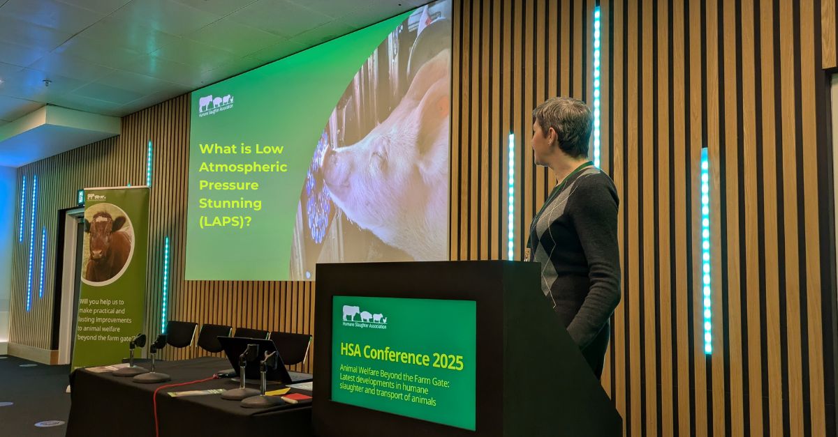 what is laps - Dorothy McKeegan presentation HSA conference 2025